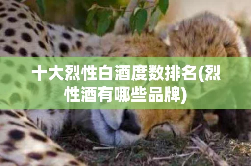 十大烈性白酒度数排名(烈性酒有哪些品牌)