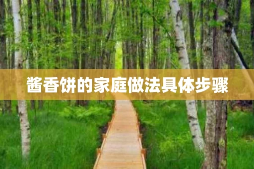 酱香饼的家庭做法具体步骤