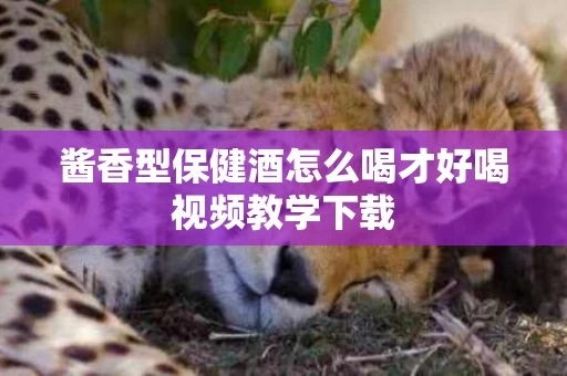 酱香型保健酒怎么喝才好喝视频教学下载