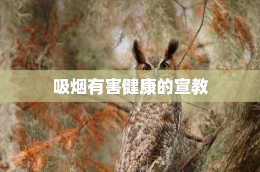 吸烟有害健康的宣教