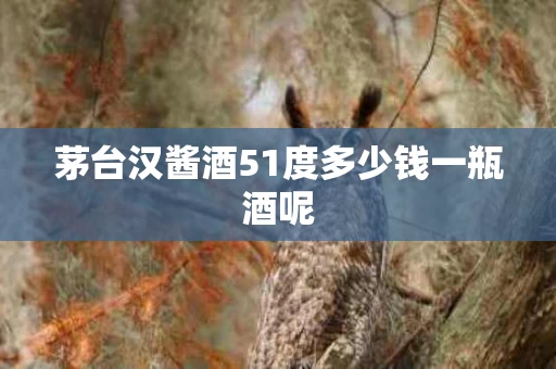 茅台汉酱酒51度多少钱一瓶酒呢