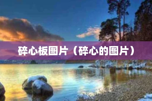 碎心板图片（碎心的图片）
