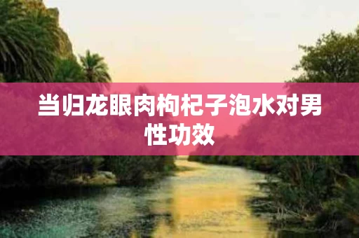 当归龙眼肉枸杞子泡水对男性功效