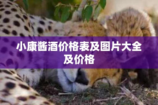 小康酱酒价格表及图片大全及价格