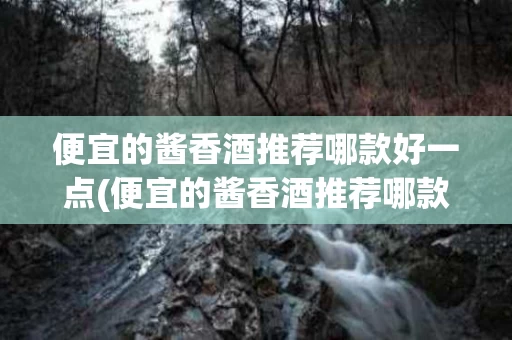 便宜的酱香酒推荐哪款好一点(便宜的酱香酒推荐哪款好一点女士)