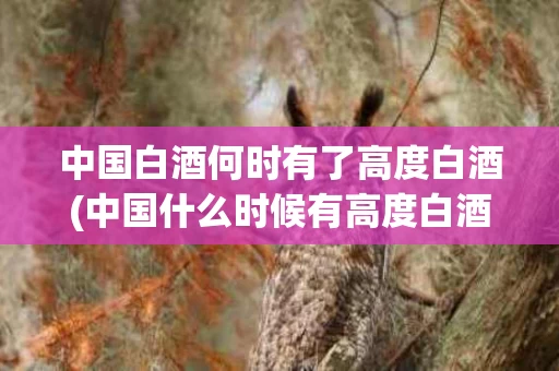 中国白酒何时有了高度白酒(中国什么时候有高度白酒的)