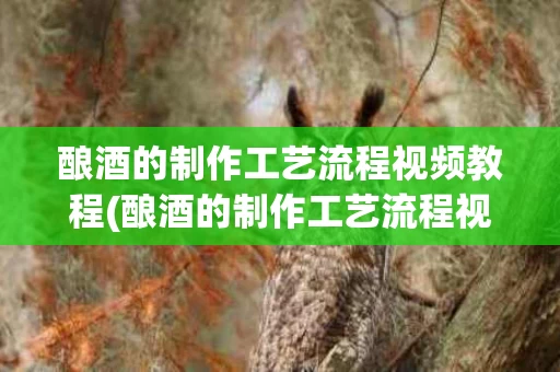 酿酒的制作工艺流程视频教程(酿酒的制作工艺流程视频教程大全)