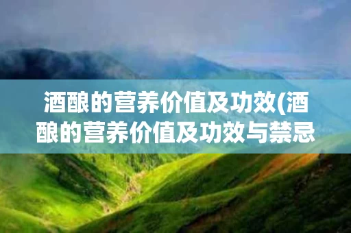 酒酿的营养价值及功效(酒酿的营养价值及功效与禁忌)