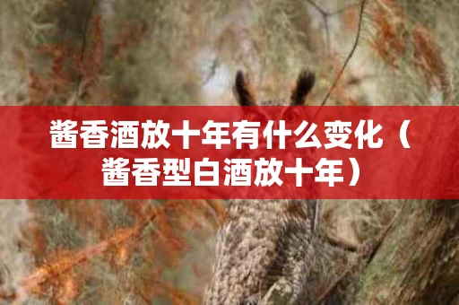 酱香酒放十年有什么变化（酱香型白酒放十年）