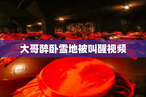 大哥醉卧雪地被叫醒视频