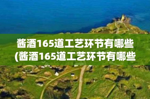 酱酒165道工艺环节有哪些(酱酒165道工艺环节有哪些特点)