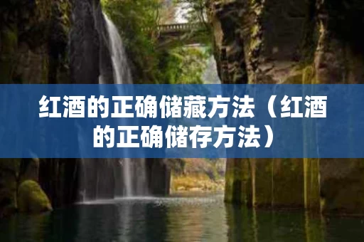 红酒的正确储藏方法（红酒的正确储存方法）