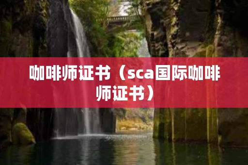 咖啡师证书（sca国际咖啡师证书）