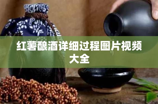 红薯酿酒详细过程图片视频大全