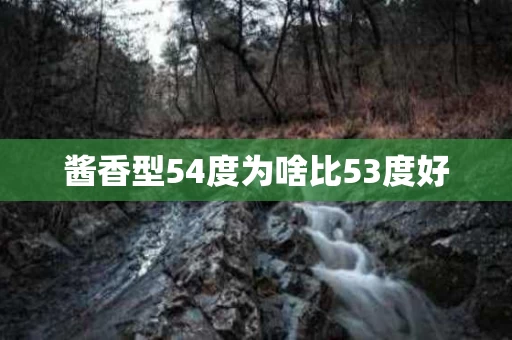 酱香型54度为啥比53度好