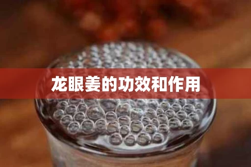 龙眼姜的功效和作用