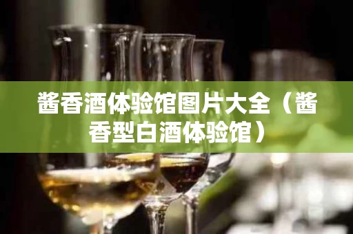 酱香酒体验馆图片大全（酱香型白酒体验馆）
