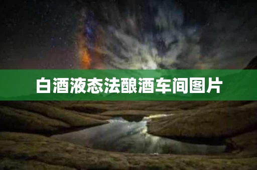 白酒液态法酿酒车间图片