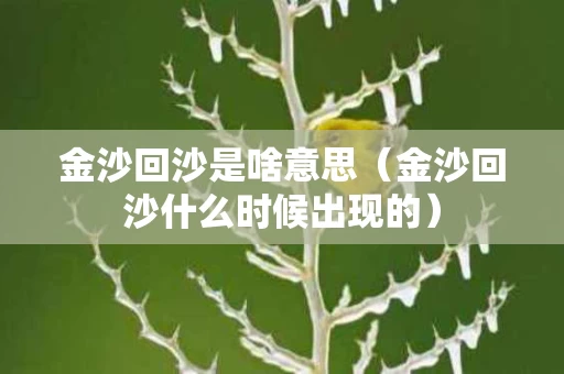 金沙回沙是啥意思（金沙回沙什么时候出现的）