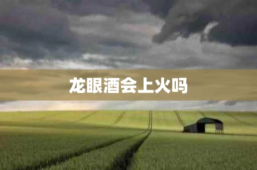 龙眼酒会上火吗
