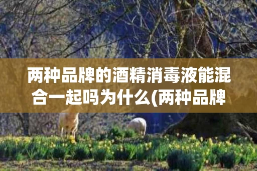 两种品牌的酒精消毒液能混合一起吗为什么(两种品牌的酒精消毒液能混合一起吗为什么不一样)
