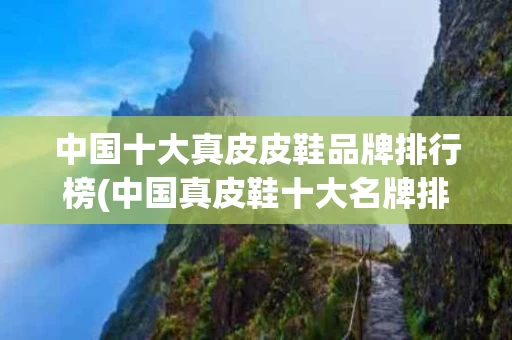 中国十大真皮皮鞋品牌排行榜(中国真皮鞋十大名牌排名)
