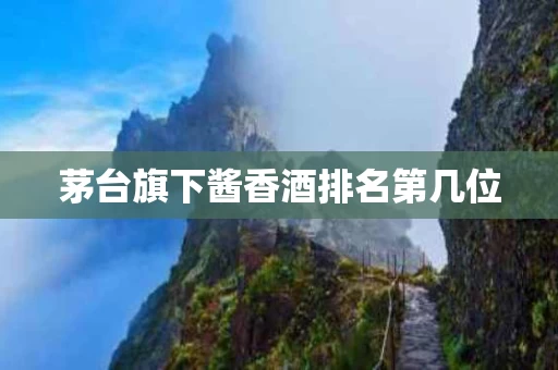 茅台旗下酱香酒排名第几位