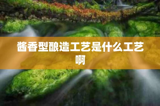 酱香型酿造工艺是什么工艺啊