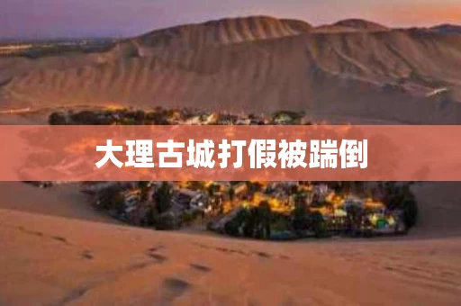 大理古城打假被踹倒