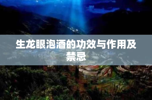 生龙眼泡酒的功效与作用及禁忌