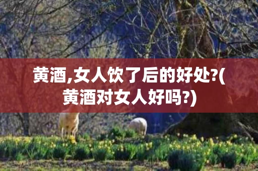 黄酒,女人饮了后的好处?(黄酒对女人好吗?)