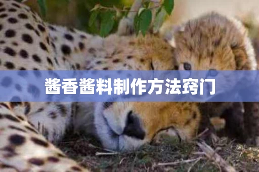酱香酱料制作方法窍门