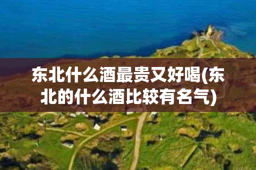 东北什么酒最贵又好喝(东北的什么酒比较有名气)