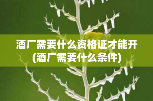 酒厂需要什么资格证才能开(酒厂需要什么条件)
