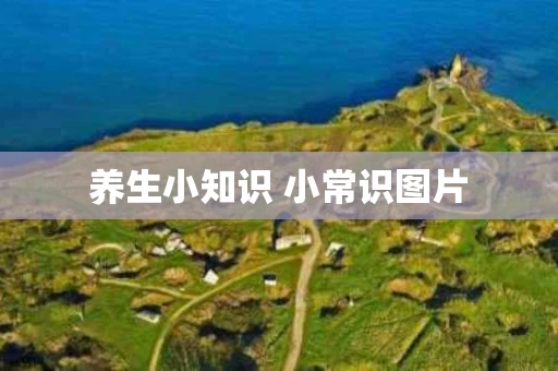 养生小知识 小常识图片