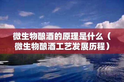 微生物酿酒的原理是什么（微生物酿酒工艺发展历程）