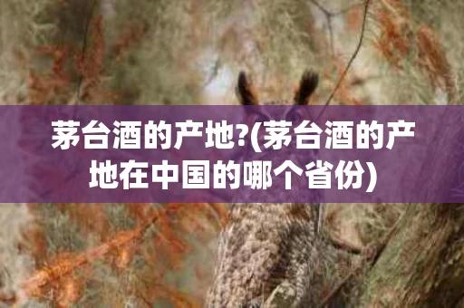 茅台酒的产地?(茅台酒的产地在中国的哪个省份)