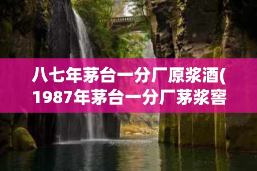 八七年茅台一分厂原浆酒(1987年茅台一分厂茅浆窖酒53度现在的价格)