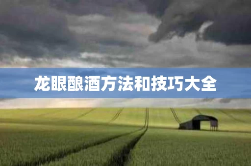 龙眼酿酒方法和技巧大全