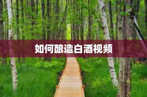 如何酿造白酒视频