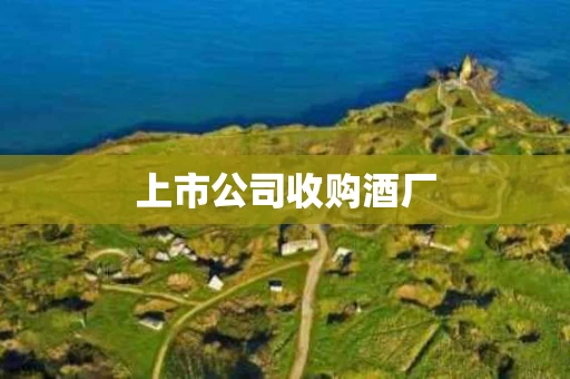 上市公司收购酒厂
