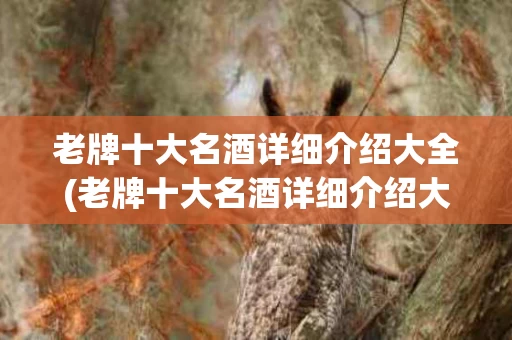 老牌十大名酒详细介绍大全(老牌十大名酒详细介绍大全视频)
