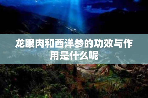 龙眼肉和西洋参的功效与作用是什么呢