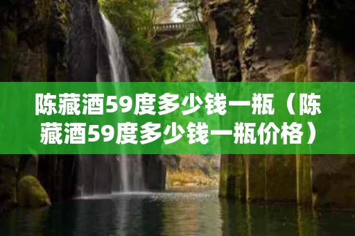 陈藏酒59度多少钱一瓶（陈藏酒59度多少钱一瓶价格）