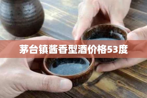 茅台镇酱香型酒价格53度