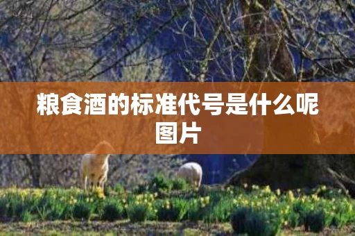 粮食酒的标准代号是什么呢图片