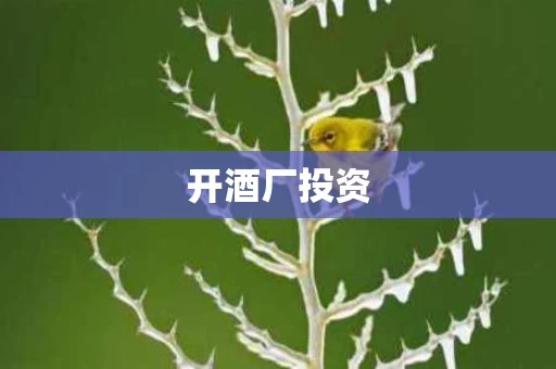 开酒厂投资