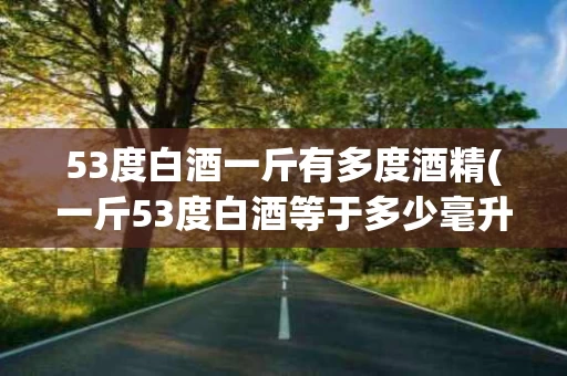 53度白酒一斤有多度酒精(一斤53度白酒等于多少毫升)