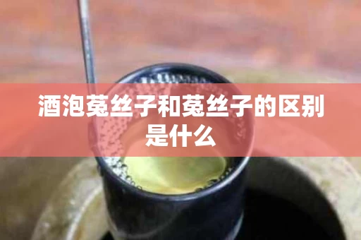 酒泡菟丝子和菟丝子的区别是什么