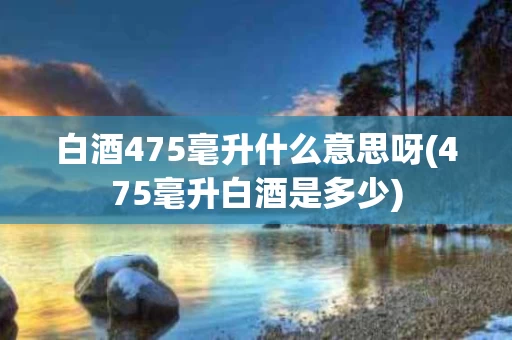 白酒475毫升什么意思呀(475毫升白酒是多少)